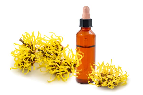 Witch Hazel Benefits For Skin Care