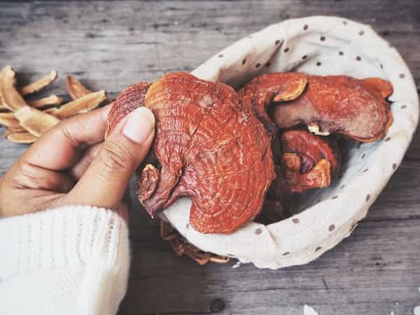 A bowl of reishi mushrooms and a woman holding one of the mushrooms.