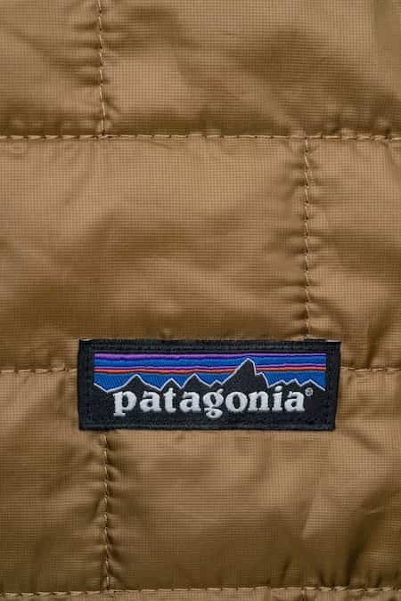 A Patagonia logo on a garment of clothing.