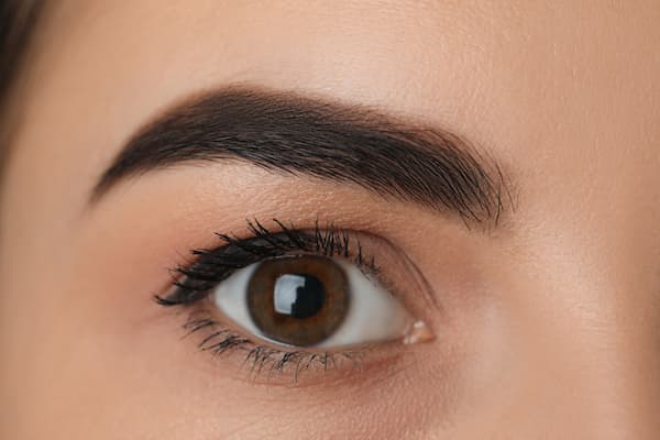 A close-up of a woman's brown eye and dark eyebrow.